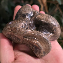 Bison Fossil Ankle Bone (Talus) A