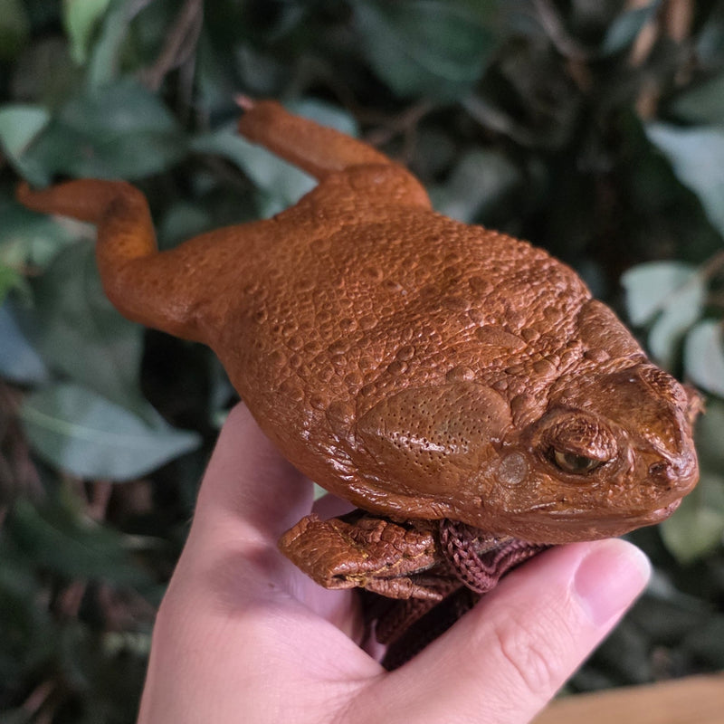 Cane Toad Purses, Style B
