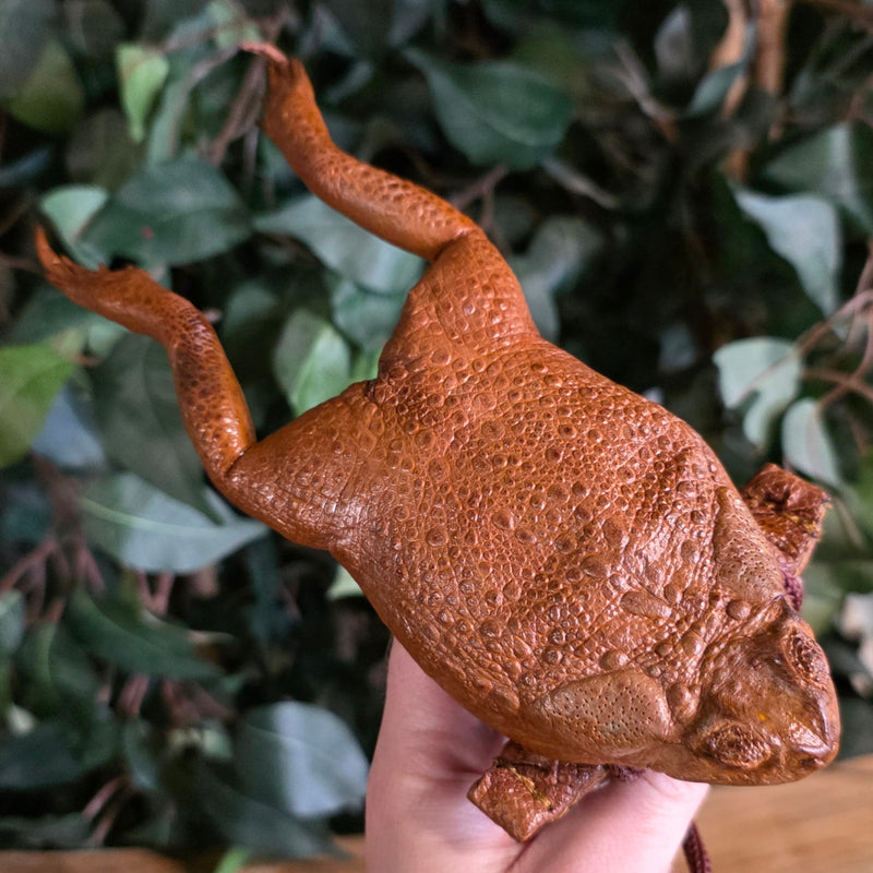 Cane Toad Purses, Style B