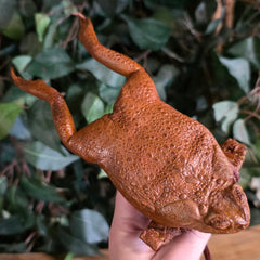 Cane Toad Purses, Style B