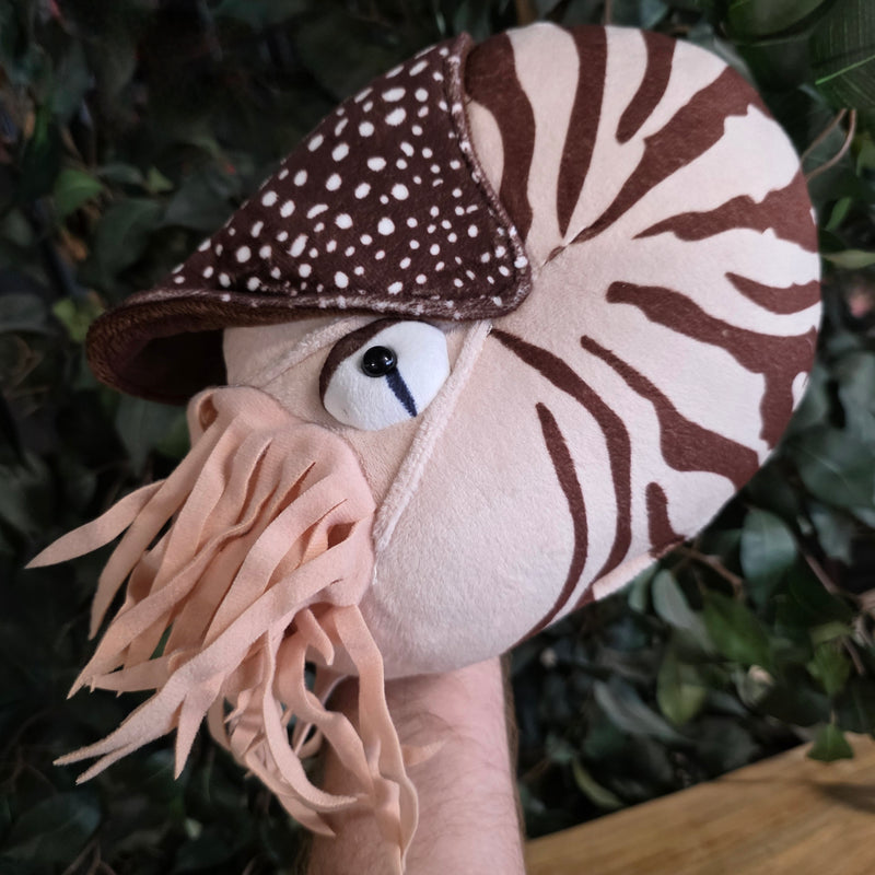 Nautilus Plushies