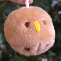 Kiwi Bird/Fruit Plushies