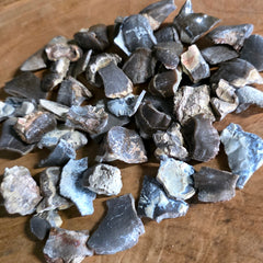 American Rhino Fossil Tooth (Titanothere), Fragments