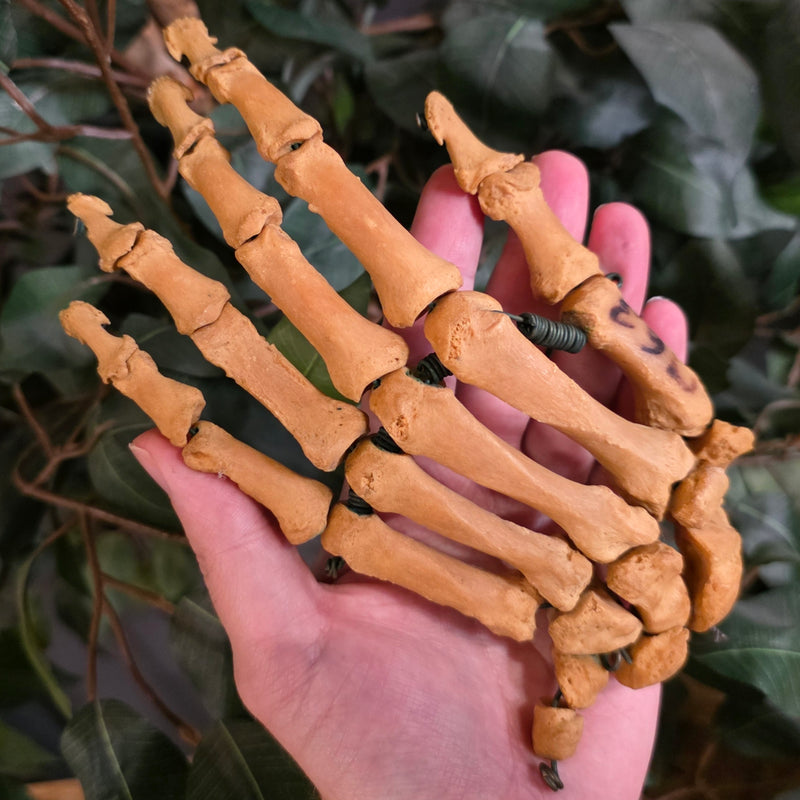 Human Hand, Articulated B
