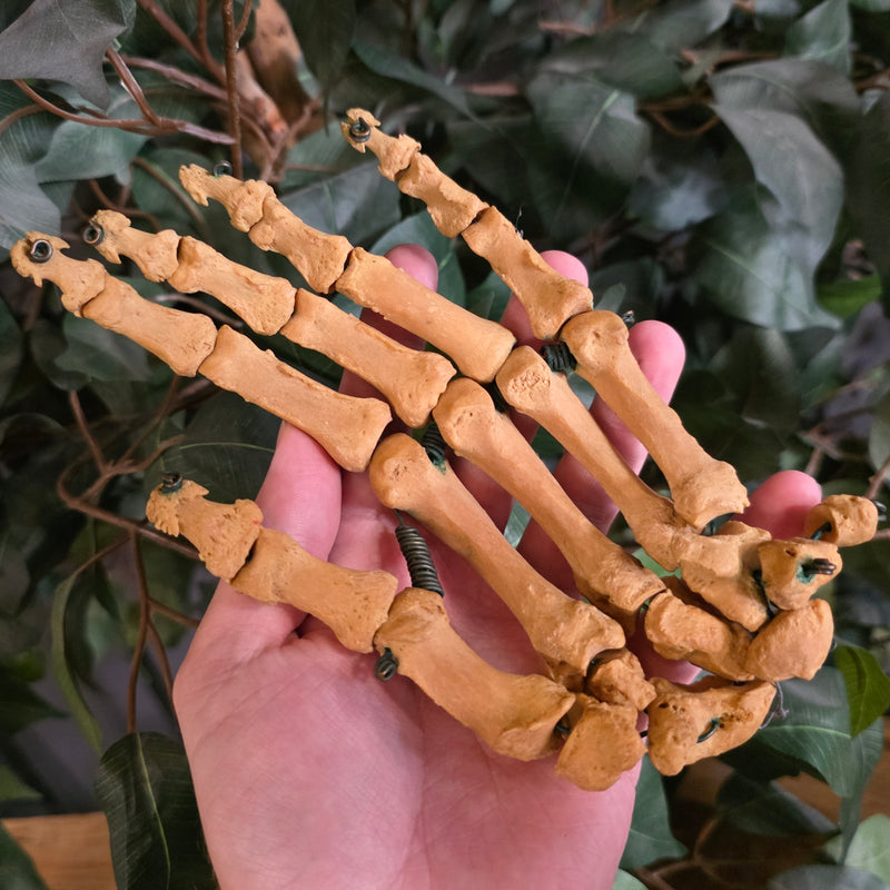 Human Hand, Articulated B