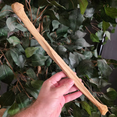 Human Fibula Bone A