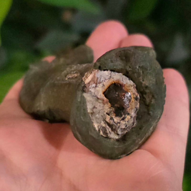 Ancient Roman Chariot Rein Guide (Ex-Museum)