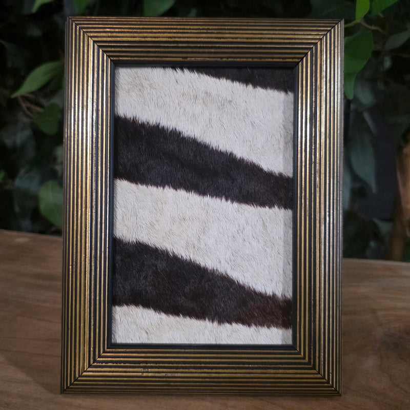 Zebra Skin Frame A