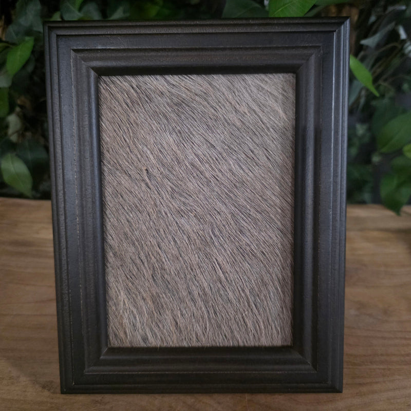 Kudu Skin Frame B