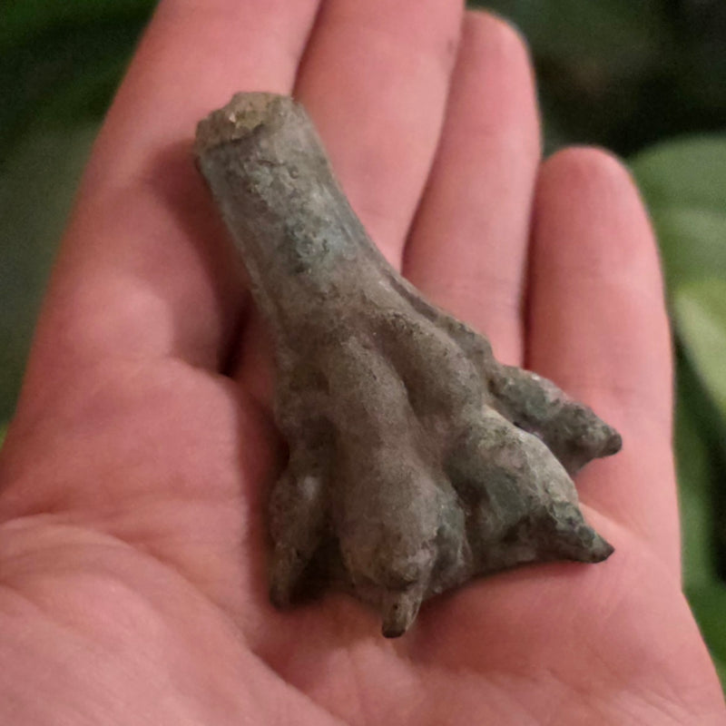 Ancient Roman Casket Foot, Lion (Ex-Museum)