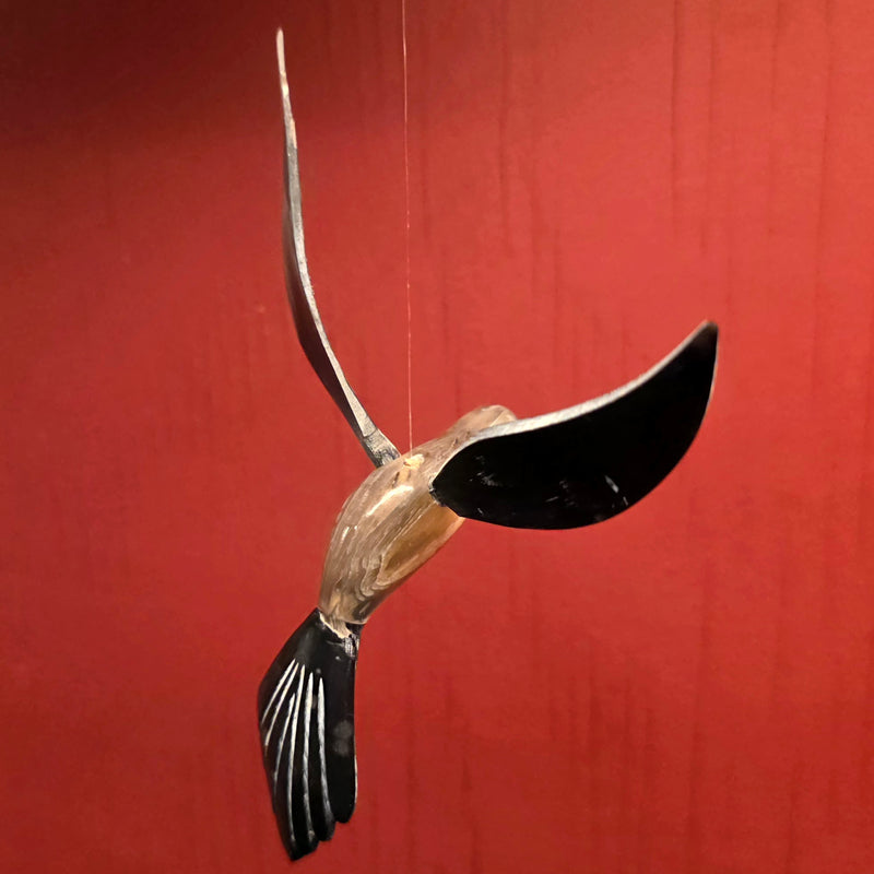 Bull Horn Hummingbird, A