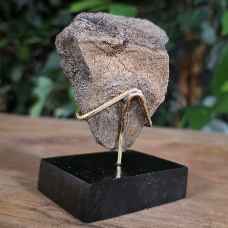 Dinosaur Bone Fragment L, On Stand