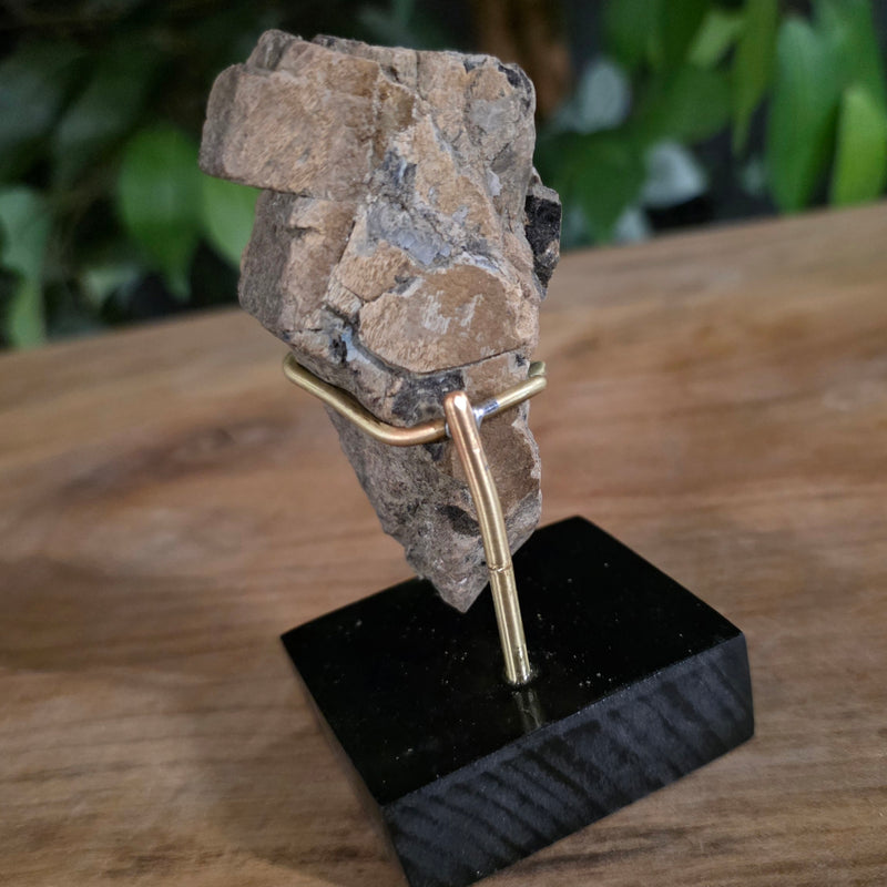 Dinosaur Bone Fragment M, On Stand