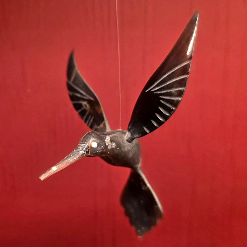 Bull Horn Hummingbird, C