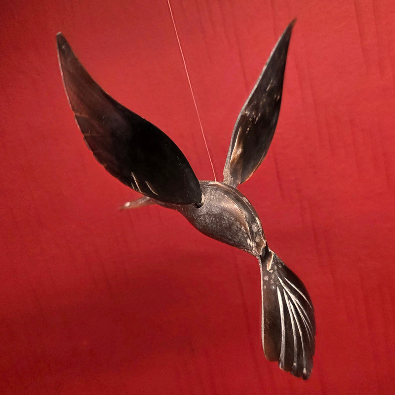 Bull Horn Hummingbird, C