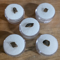 Tyrannosaurus Rex Tooth Fragments | SkullStore Inc.
