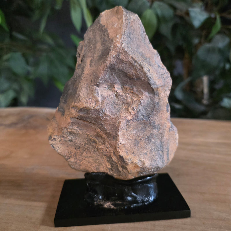 Ancient Acheulean Hand Axe, Morocco B (XL) | SkullStore Inc.