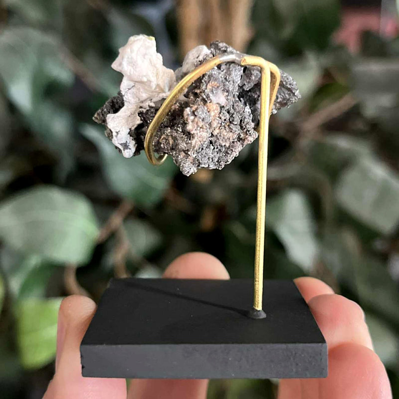 Native Silver, Morocco F (1.5")