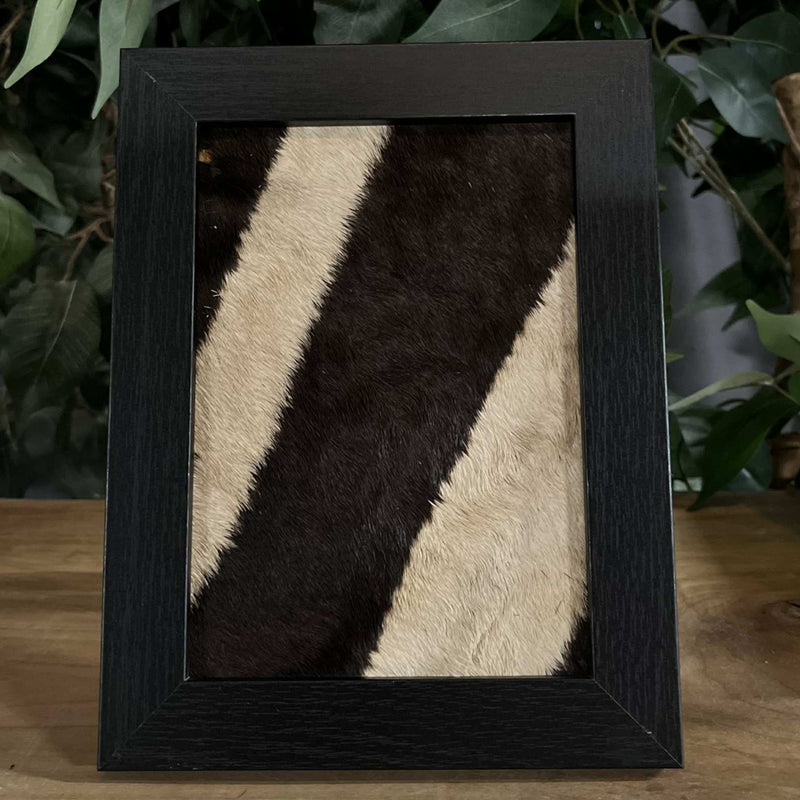 Zebra Skin Frames