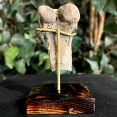 Hoplophoneus Sabertooth Leg Bone B, On Stand