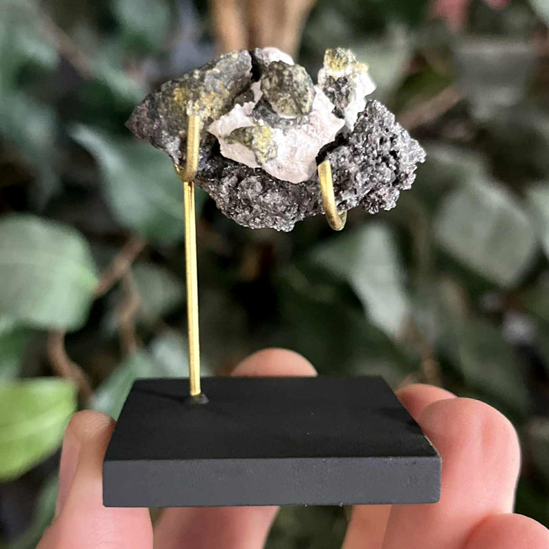 Native Silver, Morocco F (1.5")
