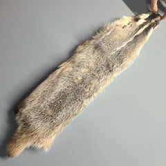 American Badger Fur C