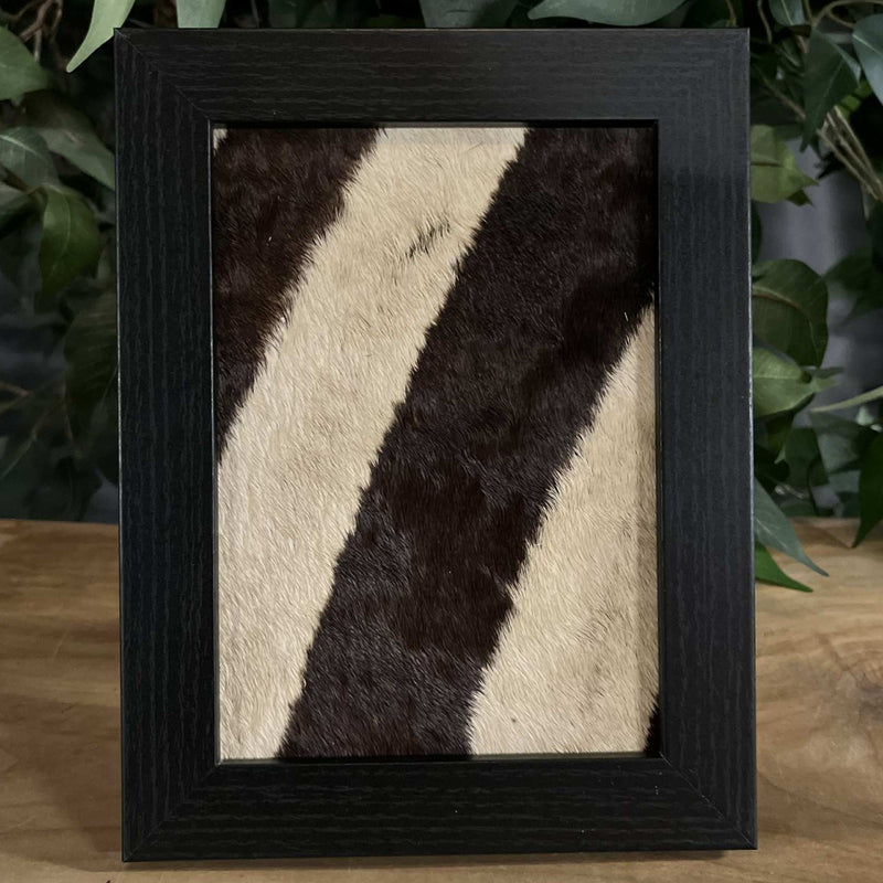 Zebra Skin Frames