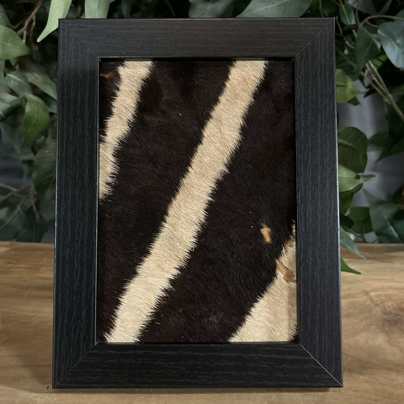 Zebra Skin Frames