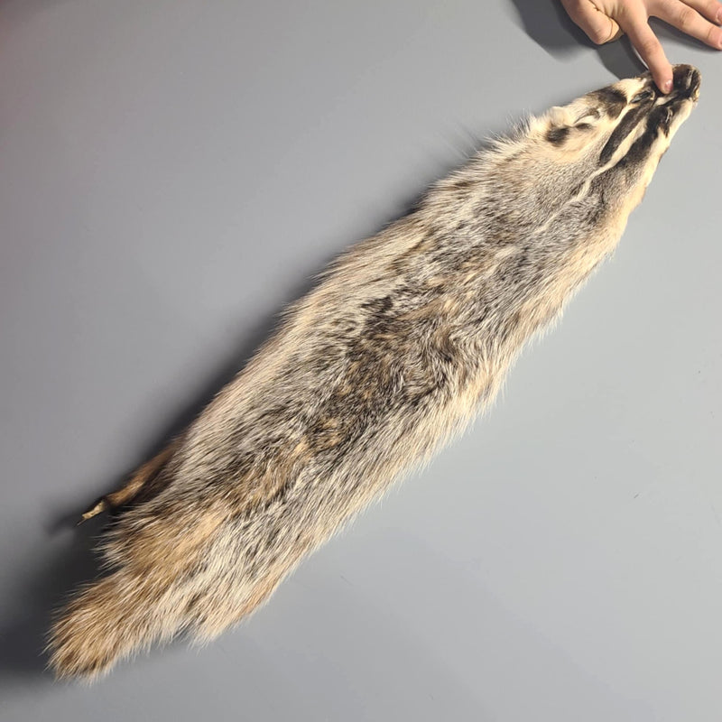 American Badger Fur B