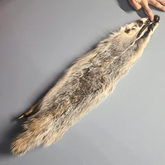 American Badger Fur B