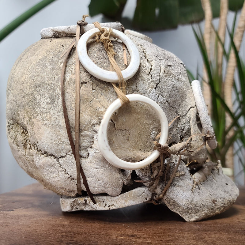 Solomon Islands Human Skull, Ex-Museum