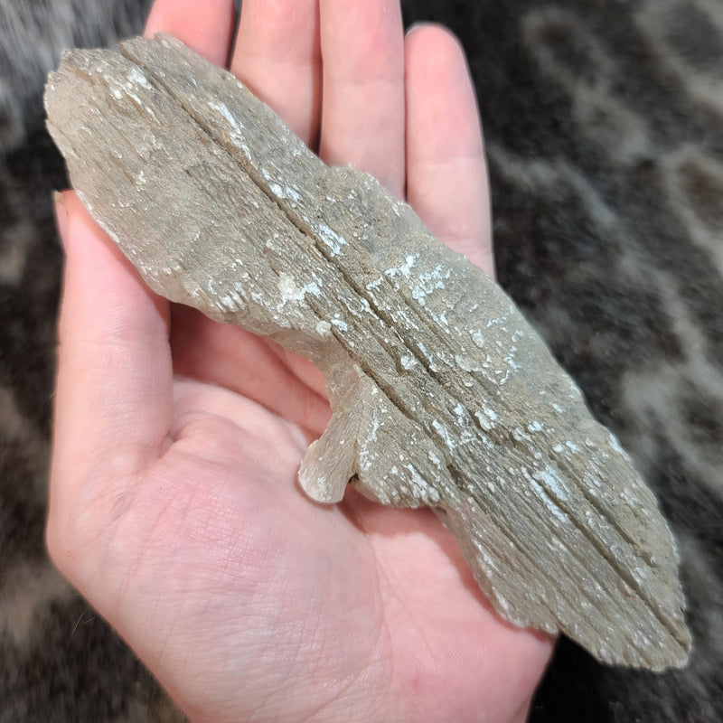 Selenite Crystal D (6.25")