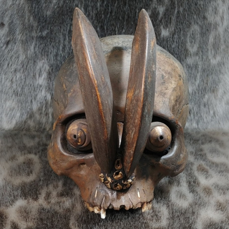 Dayak Ethnographic Skull, Tusks (SALE)