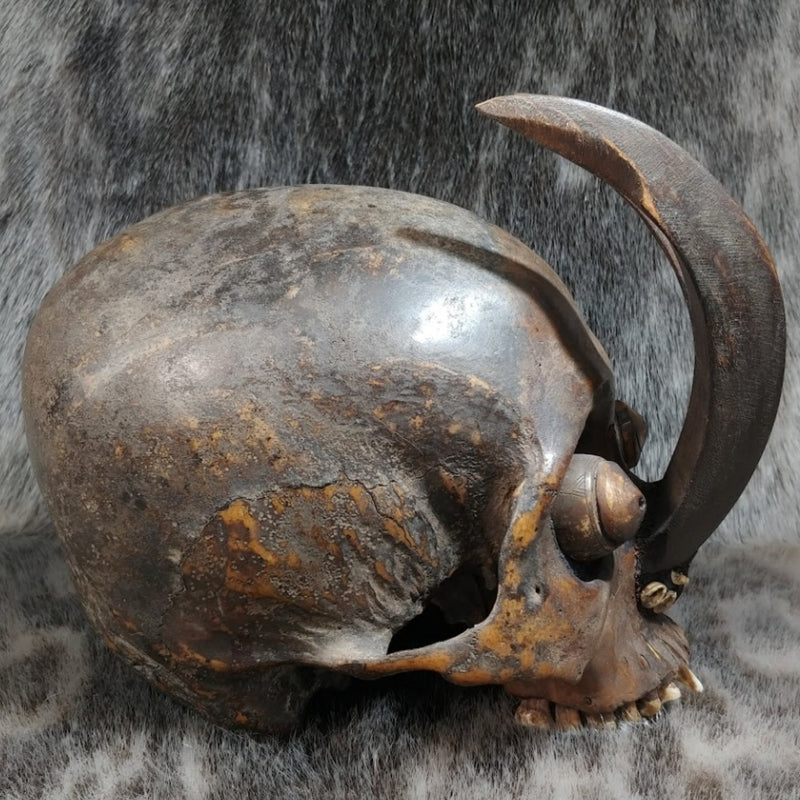 Dayak Ethnographic Skull, Tusks (SALE)