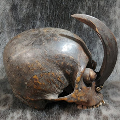 Dayak Ethnographic Skull, Tusks (SALE)
