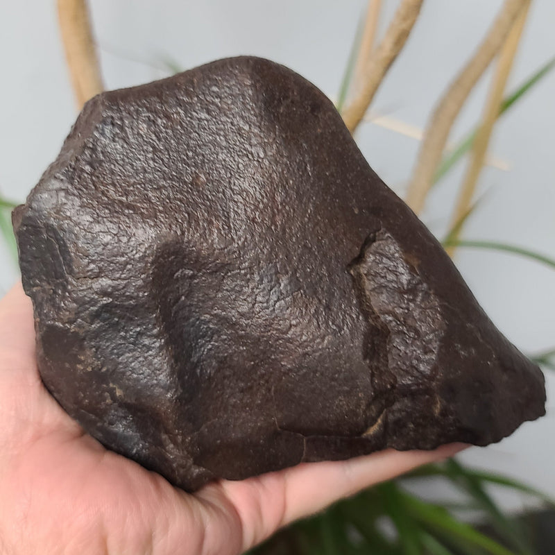 Meteorite XL, NWA (1.85kg)