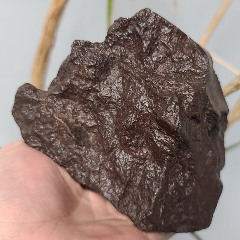 Meteorite XL, NWA (1.85kg)