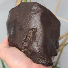 Meteorite XL, NWA (1.85kg)