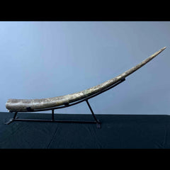 Stegodon Tusk A (47