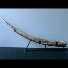 Stegodon Tusk A (47