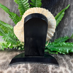 Agadir Ammonite, On Stand D (7
