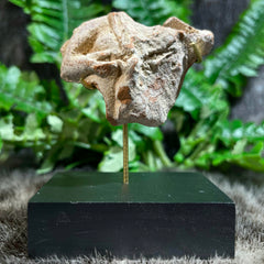 Ancient Greek Statuette Fragment T