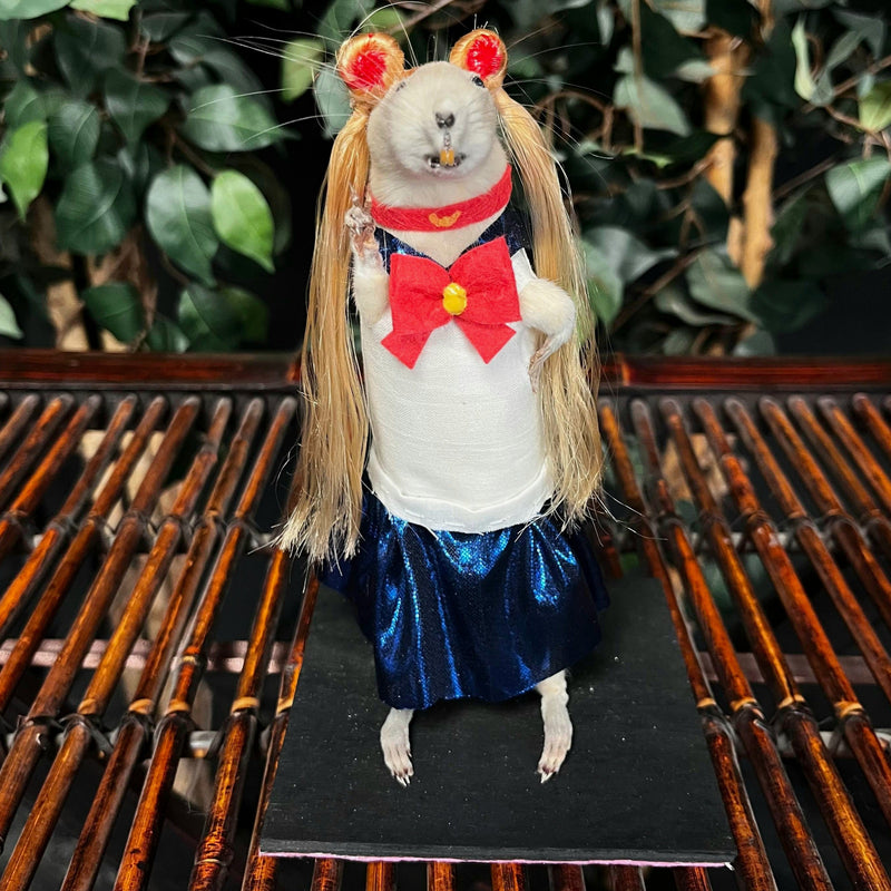Rat Taxidermy, Sailor Moon