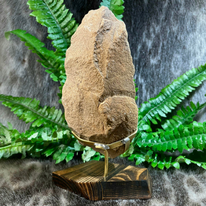 Ancient Acheulean Hand Axe, Morocco V (XL)