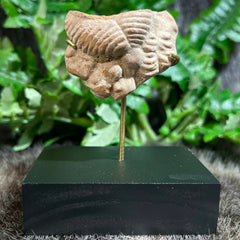 Ancient Greek Statuette Fragment S