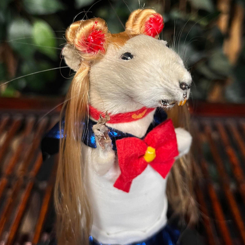 Rat Taxidermy, Sailor Moon