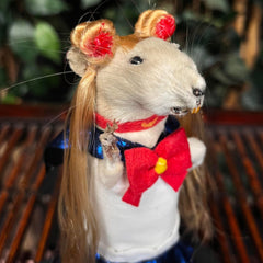 Rat Taxidermy, Sailor Moon