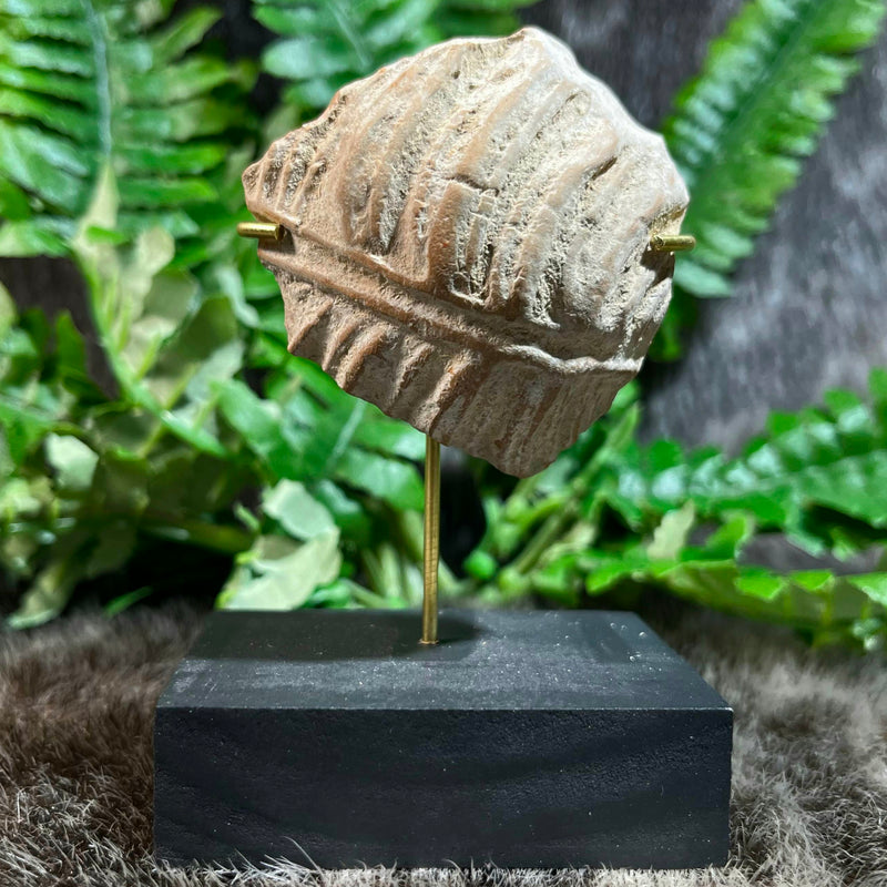 Ancient Greek Statuette Fragment V