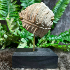 Ancient Greek Statuette Fragment V