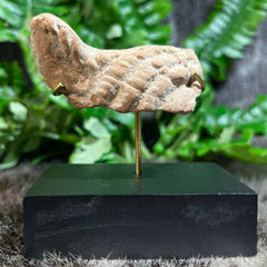 Ancient Greek Statuette Fragment U